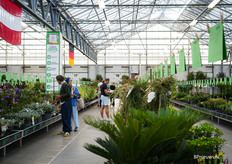 De ochtend begon voor veel bezoekers met kijken en kopen tussen de lagen