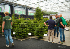 It's beginning to look a lot like Christmas.. 