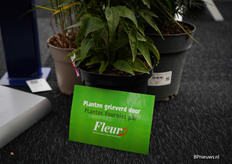 In de stand van Luiten Greenhouses