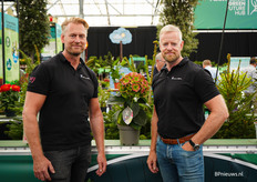 Martijn en Carlo Hoogendoorn van PerlaNova breeding met hun Hydrangea Fusion Antique 