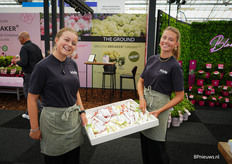 De catering op de beurs was top geregeld, er werden zelfs ijsjes uitgedeeld! 