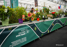 de Horticulture Hype train, een spotlight op nieuwe planten en een nieuw perspectief op oude planten