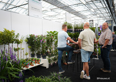 Kwekerij P.W. Captein & Zn uit Alphen a/d Rijn