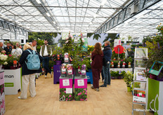 Alle dagen een drukke bedoening in de stand van Arie Bouman tuinplanten