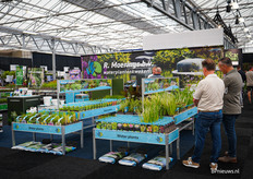 R. Moerings Waterplantenkwekerij