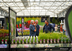 In de stand van Griffioen