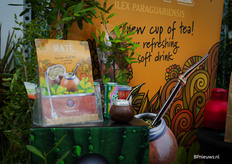 Ooit al eens je eigen thee willen groeien? 