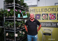 Volgens een bezoeker "de allerbeste Helleborus kweker van België"