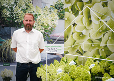 Martijn Kuiper van Hydrangea Breeders Association met de Bloomulus