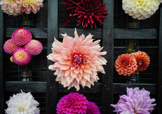 Net een schilderij, toch? 