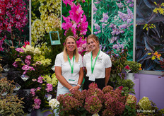 Esther en Alisa van Valkplant en Proven Winners tussen de kleurrijke planten
