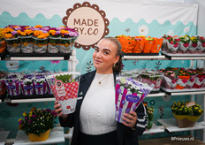 Caitlin Renten van SV.CO met de nieuwe Spicy Stars Schlumbergera in potmaat 17 en in verschillende kleuren beschikbaar en de Asterly, een mix van drie kleuren asters in potmaat 12. 