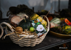 De herfst komt er aan bij MBDesigned