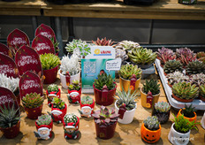 Het is te zien dat de herfst én kerst in het vooruitzicht liggen