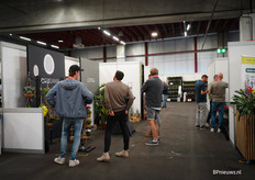 De stand van Corsaplant