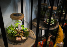 Nieuw in de schijnwerpers bij PT Creations