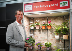 Het cyclamenseizoen is weer begonnen, vertelt Vincent ten Have van Ten Have plant