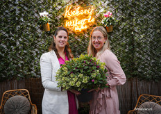 Rianne en Heleen de Rijke van Kwekerij Wilbert de Rijke met de nieuwe Quattro die ze vanaf volgend jaar gaan uitleveren, een mix van vier kleuren Hebe in pot 23. 