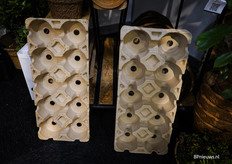 Stevige papieren trays waarin klanten hun plantjes mee naar huis kunnen nemen, om de tray vervolgens te recyclen