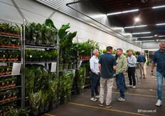 De hele muur gevuld van Green Sales & Promotions