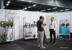 Patrick van der Arend van Pannekoek Orchideeën in gesprek