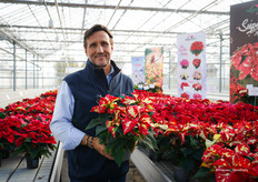 Andrea Lazzeri met de eyecatcher van dit moment: Poinsettia Superba Galaxy