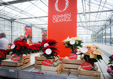 De highlights van Dümmen Orange op een rijtje