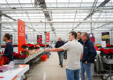 Een kijkje bij de Poinsettia Trials