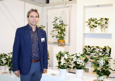 Hans Hoogendoorn van Hoogendoorn Stephanotis.