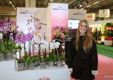 Anna-Maria van SatterOrchids. 