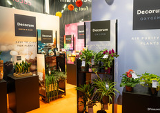 Ook introduceerde Decorum een nieuw merkenhuis met drie merken: Oxygen, Green & Leafy en Colores