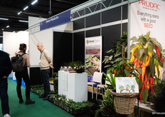 Denis-Plants vierde dit jaar hun 50 jarig jubileum