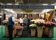 Van der Hulst rozenkwekerijen