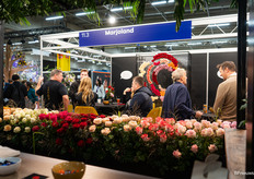 In de stand van Marjoland