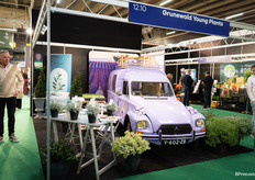 Grunewald Young Plants