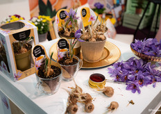 Veel aandacht voor de saffraan bloom & gold van Ammerlaan-Sosef