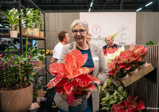 Jolande Nieuwenhuijze van De Hoog Orchids vertelt dat de Aglaonema’s heel populair zijn