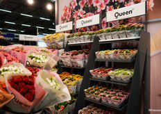Op de voorgrond snijbloemen van Queen uit Nederlandse productie en de potplanten van Queen by Jan van Luijk en Queen by Pligt Professionals