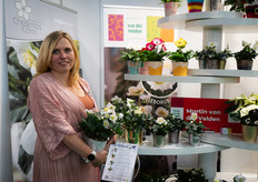 Anita Kap van Kwekerij van der Velden