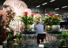 Riza Growers