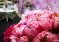 Pioenen van Green Works