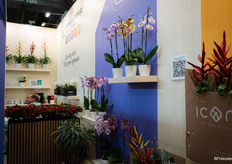 In de stand van Van Geel Group