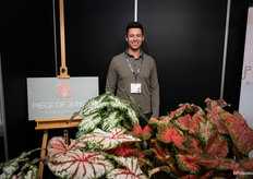 Bas van Dam van Piece of Jungle tussen zijn caladiums