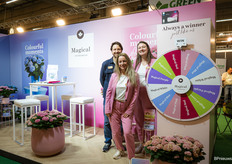 Bij het rad van Magical Hydrangea