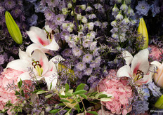 bloemenpracht bij Starflor