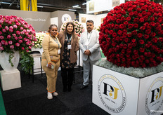 Heel veel rozen in de stand bij PJ Dave Flowers Group