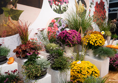 Meer ruimte voor herfst- en vaste planten bij Selecta One