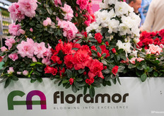 Het nieuwe logo van Floramor werd deze beurs gelanceerd