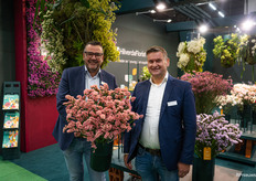 Stein Schouten en Co Overduin van Hilverda Florist laten de nieuwe Peach Wings limonium zien