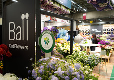 De stand van Ball Cutflowers